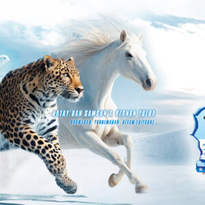 Samsun - Buz Hokeyi - Asi